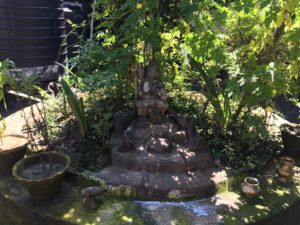 garden-shiva